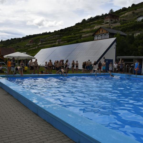 Der Schwimmwettkampf Im Schonen Freyburger Freibad 15 