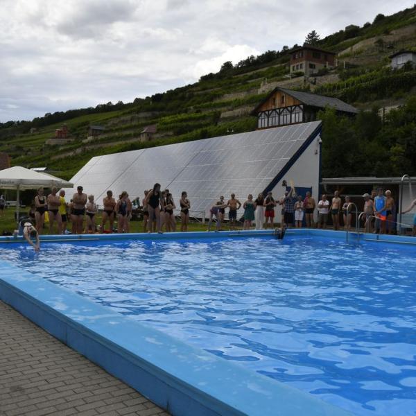 Der Schwimmwettkampf Im Schonen Freyburger Freibad 19 