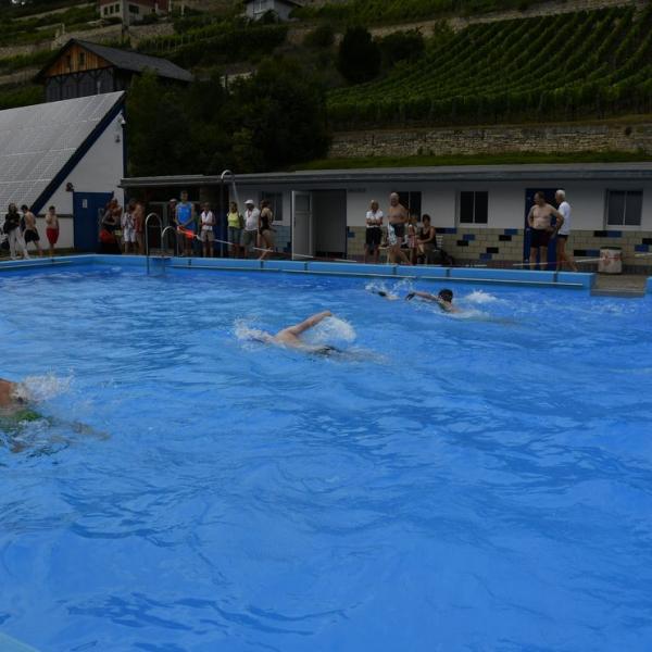 Der Schwimmwettkampf Im Schonen Freyburger Freibad 35 